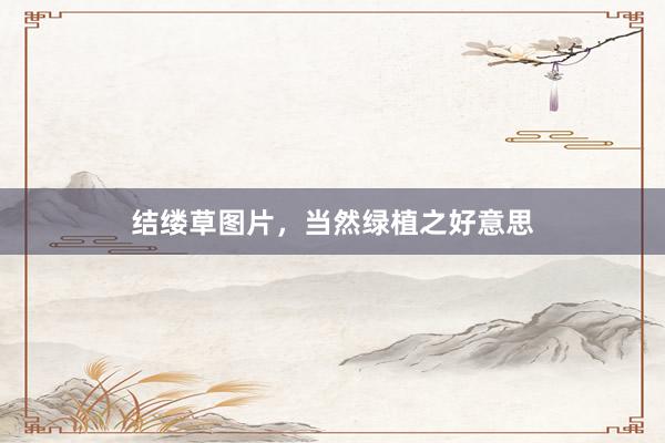 结缕草图片，当然绿植之好意思