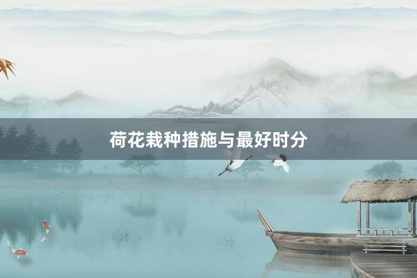 荷花栽种措施与最好时分
