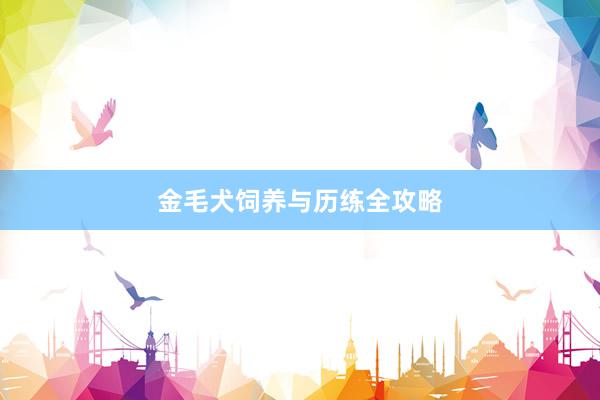 金毛犬饲养与历练全攻略